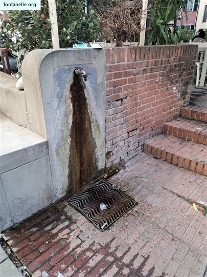 Fontanelle.org - Galleria immagini