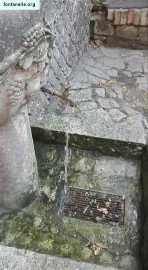 Fontanelle.org - Galleria immagini