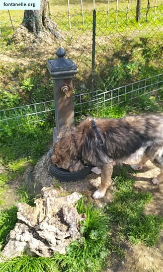 Fontanelle.org - Galleria immagini