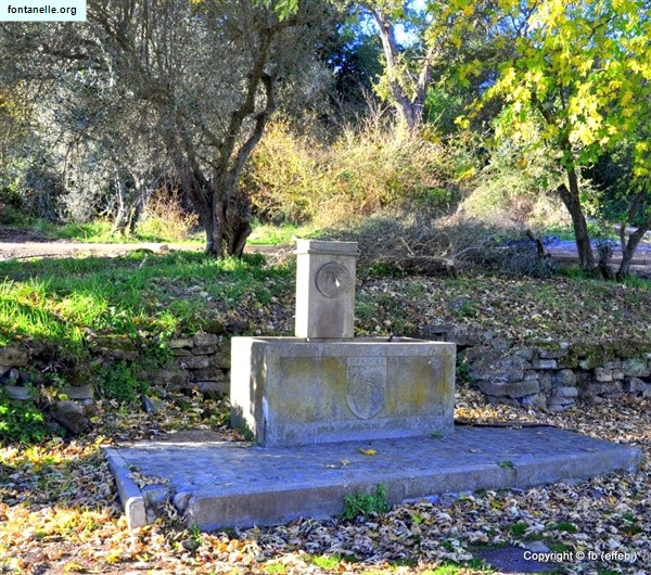 Fontanelle.org - Galleria immagini