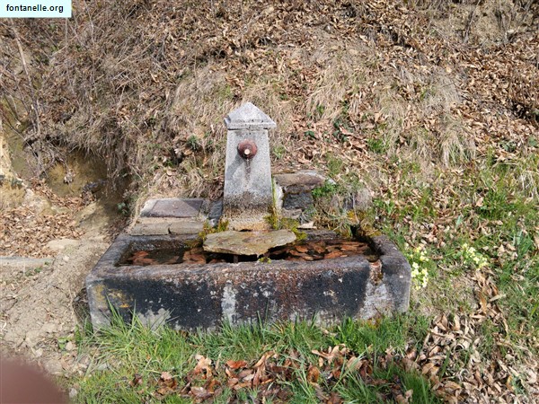 Fontanelle.org - Galleria immagini