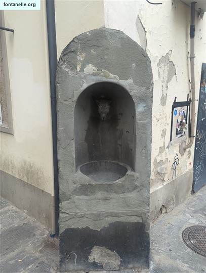 Fontanelle.org - Galleria immagini