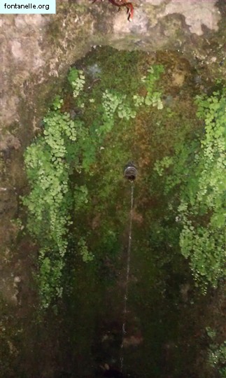 Fontanelle.org - Galleria immagini