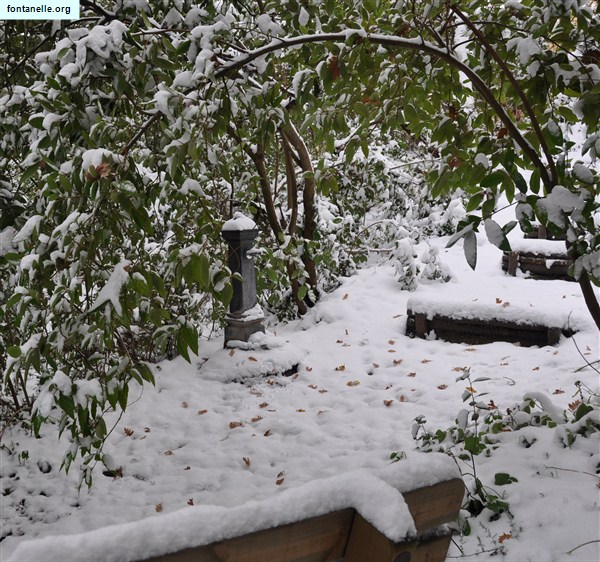 Fontanelle.org - Galleria immagini