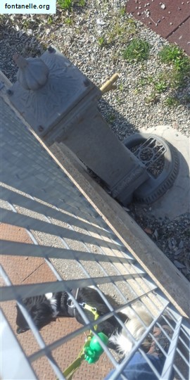 Fontanelle.org - Galleria immagini