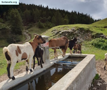 Fontanelle.org - Galleria immagini