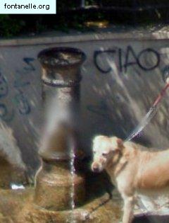 Fontanelle.org - Galleria immagini