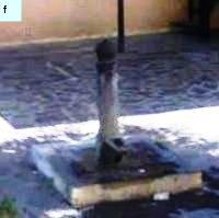 Fontanelle.org - Galleria immagini