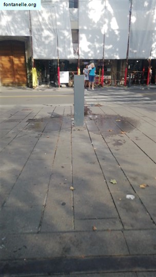 Fontanelle.org - Galleria immagini