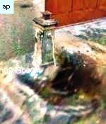 Fontanelle.org - Galleria immagini