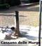 Fuffo