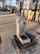 teoteo