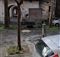 Fuffo