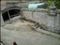 Fuffo