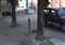 Fuffo