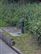 Fuffo