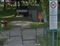 Fuffo
