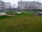 mausal