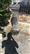 Fuffo