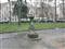 fontanelle.org